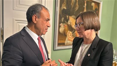 وزير الخارجية للصليب الأحمر: مصر وفرت 70% من إجمالي المساعدات المقدمة إلى غزة