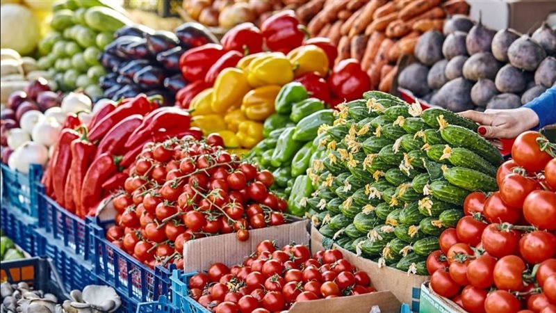 سعر الخضار 