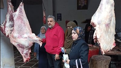 بيطري الدقهلية: ضبط 2 طن لحوم ودجاج غير صالحة للاستهلاك الآدمي