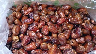 أسعار البلح،مع قرب شهر رمضان ارتفاع ملحوظ في أسعار البلح والتمور