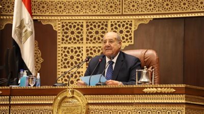 رئيس الشيوخ: الإقبال على انتخابات المجلس مبشر