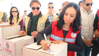 نائب رئيس الوزراء ووفد الجامعة العربية يطلقون قافلة مساعدات لأهالي غزة