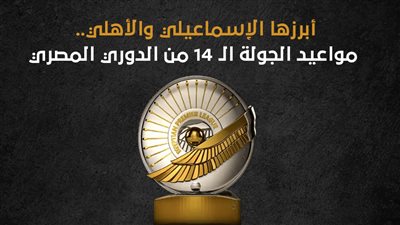 أبرزها الإسماعيلي والأهلي.. مواعيد الجولة الـ 14 من الدوري المصري (إنفوجراف)