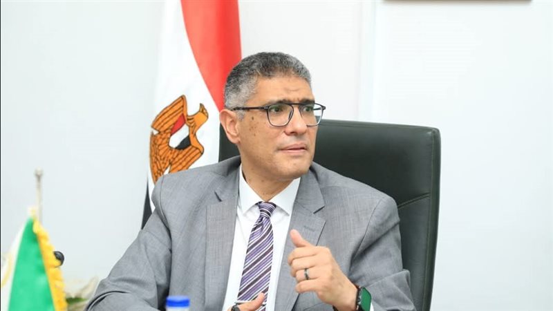 المهندس عادل النجار،