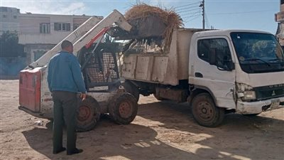 حملات نظافة وتجميل موسعة بنطاق مركز دسوق في كفر الشيخ