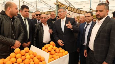 محافظ الجيزة يفتتح التشغيل التجريبي لـ 3 معارض 