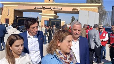 رئيسة وفد البرلمان الأوروبي تشيد بدور مصر تجاه غزة ورفضها للتهجير