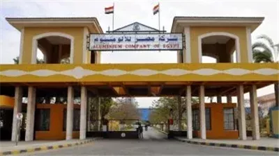 قطاع الأعمال العام: 