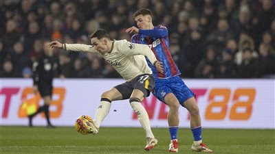 إيفرتون يفوز على كريستال بالاس 2-1 في الدوري الإنجليزي (صور)