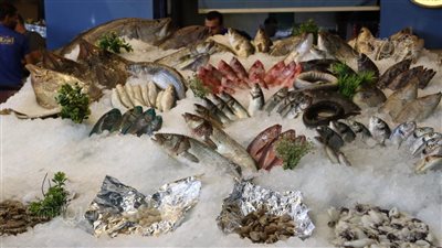 أسعار السمك اليوم، البلطي يرتفع 6 جنيهات في سوق العبور 