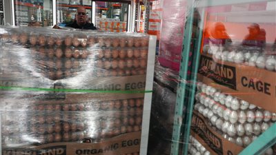  مقابل الدعم العسكري، مسئول أوكراني: مستعدون لإرسال دفعات كبيرة من البيض لأمريكا