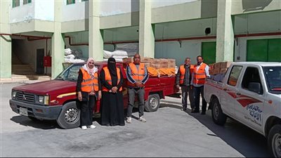 توزيع 1400 صندوق مواد غذائية على الأسر الأولى بالرعاية في الإسماعيلية (صور) 