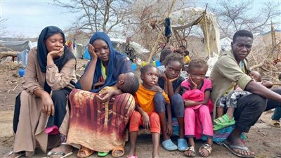 أكثرهم سودانيين، الأمم المتحدة تكشف عدد اللاجئين في مصر 