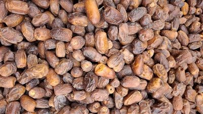 مراحل تعبئة وتصدير البلح داخل مسطاح جبل المحروسة في قنا (فيديو)