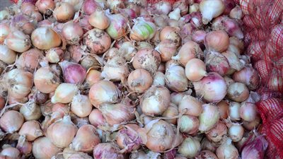 كيف تحافظ على طعامك طازجًا؟ أبرز نصائح حفظ الخضروات والفاكهة.. وتحذير من التخزين المفرط: يتسبب في تلف سريع للأطعمة ويخلق زيادة في الطلب بشكل مصطنع (فيديو وصور)