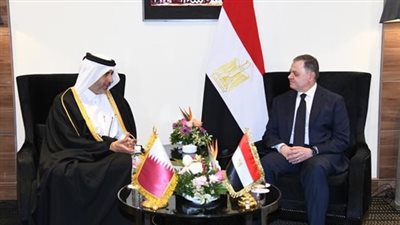 وزير الداخلية يؤكد لنظرائه العرب تضافر الجهود لمحاصرة الإرهاب والجرائم المُنظمة (صور)