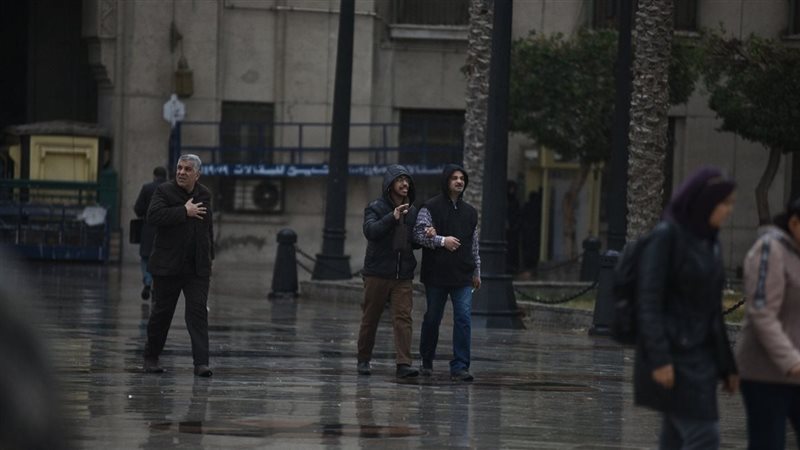 حالة الطقس غدا، فيتو