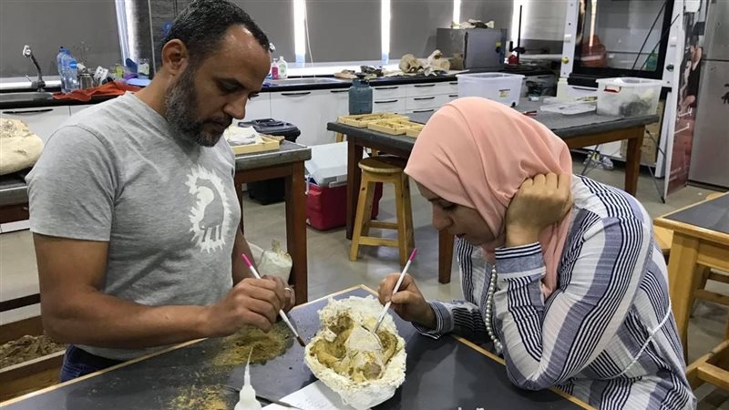 اكتشاف جديد من الحفريات