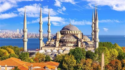 ثعلب يعطل نظام الأذان في أحد المساجد بتركيا 