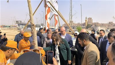 وزيرة التنمية المحلية ومحافظ القليوبية يدشنان مشروع تشجير الطريق الدائري 