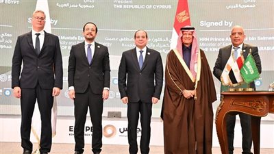 السيسي ونظيره القبرصي يشهدان التوقيع على اتفاقيات تعاون في مجال الطاقة (صور)