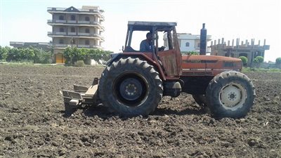 جهود وزارة الزراعة لتحسين جودة التربة.. التملح والإفراط في الري أبرز العقبات أمام التنمية المستدامة 