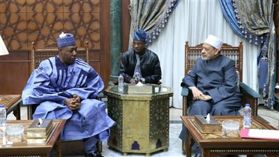 شيخ الأزهر يبحث مع حاكم «بورنو النيجيرية» دعم المجالات الدعوية والتعليمية بالولاية