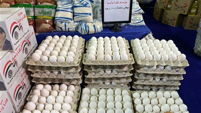 طرح البيض بتخفيضات 20% في معارض 