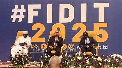 تفاصيل مشروع الربط البرى بين مصر وتشاد