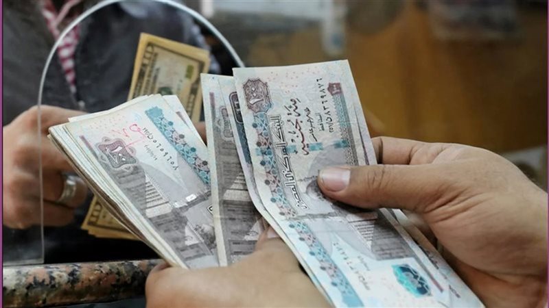 زيادة المعاشات