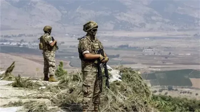 الجيش اللبناني،فيتو