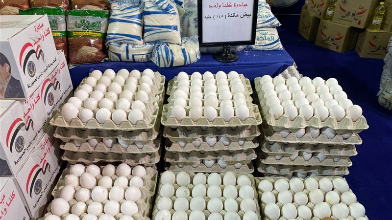 اسعار البيض بمعارض