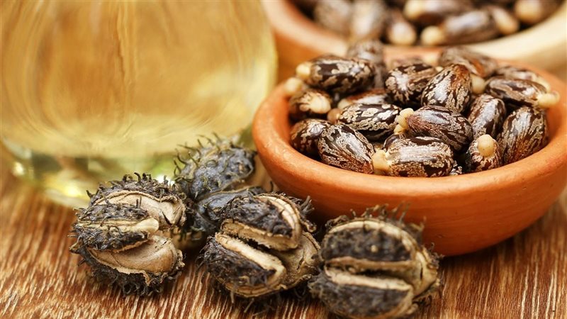 زيت الخروع، فيتو