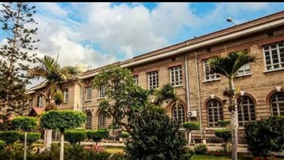 علوم الإسكندرية تفتح تحقيقا حول واقعة تسمم الكلاب والقطط داخل الحرم الجامعي