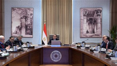 الإبقاء والدمج والتحويل، قرارات حاسمة لإصلاح الهيئات الاقتصادية