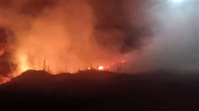 المعاينة: ماس كهربائي وراء نفوق 15 ألف كتكوت في حريق بالصف