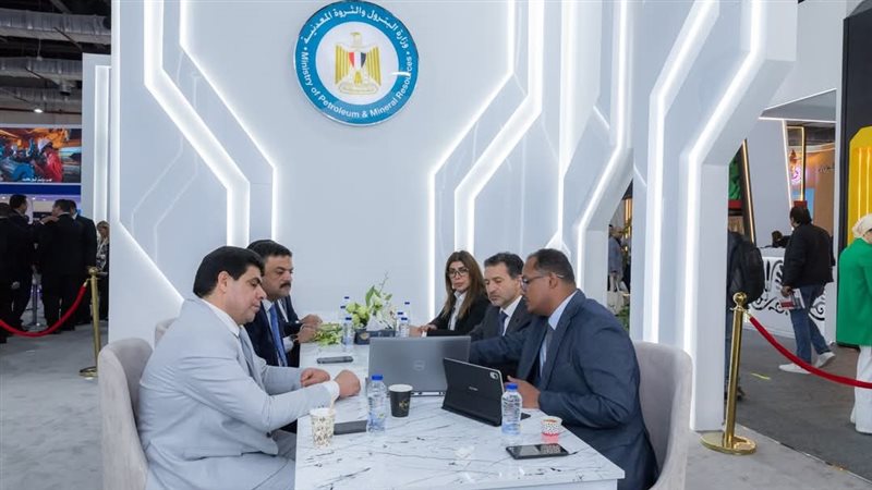 رئيس هيئة الثروة