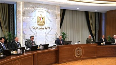 الحكومة توافق على تسكين الشاغلين بمشروع روضة السيدة بنظام الإيجار أو التمويل العقاري