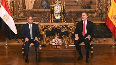 تفاصيل لقاء رئيس مصر وملك إسبانيا.. يبحثان تعزيز التعاون الاقتصادي والاستثماري.. تقديم التسهيلات لضمان نجاح الشركات الإسبانية العاملة في مصر وتذليل العقبات