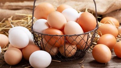 انخفاض أسعار البيض اليوم الأربعاء 19-2-2025 في الأسواق