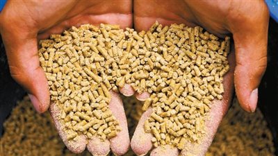 علف الصويا يسجل تراجعا جديدا، أسعار الأعلاف والحبوب في الأسواق