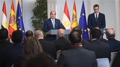 تفاصيل البيان المصري - الإسباني في ختام زيارة الرئيس السيسي لمدريد.. إعادة إعمار غزة وأزمات ليبيا وسوريا ولبنان والسودان والبحر الأحمر 