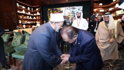 شيخ الأزهر: وحدة الأمة السبيل الوحيد للنهوض ومواجهة التحديات 