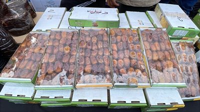 تمر دقلة النور الكيلو بـ 200 والمجدول بـ 500 جنيه.. انطلاق مهرجان التمور 2025 بأسعار تبدأ من 30 جنيها.. وهذه أبرز فوائد التمر في شهر رمضان
