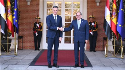 مصر وإسبانيا تطالبان باحترام وحدة وسيادة سوريا وسلامة أراضيها