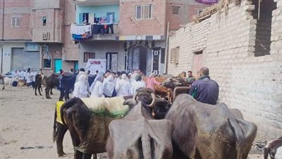 جامعة الفيوم تنظم قافلة بيطرية لمربي الماشية بقرية بحر أبو المير