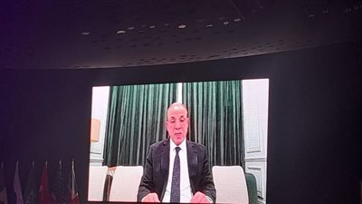 وزير الخارجية: مصر بصدد إتمام خطة شاملة للتعافي المبكر وإعادة إعمار غزة