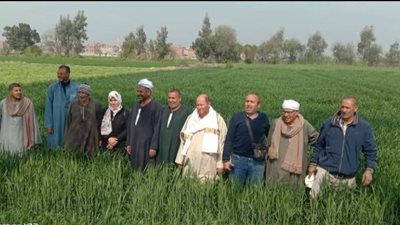 زراعة الشرقية تنظم يوما حقليا للنهوض بمحصول القمح بكفر صقر 