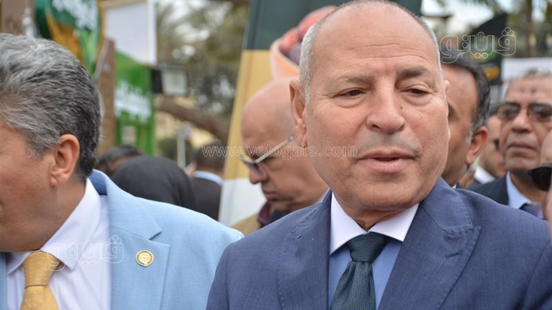 محافظ القاهرة،فيتو