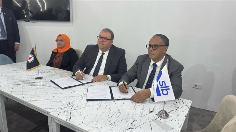 الرئيس التنفيذي لهيئة